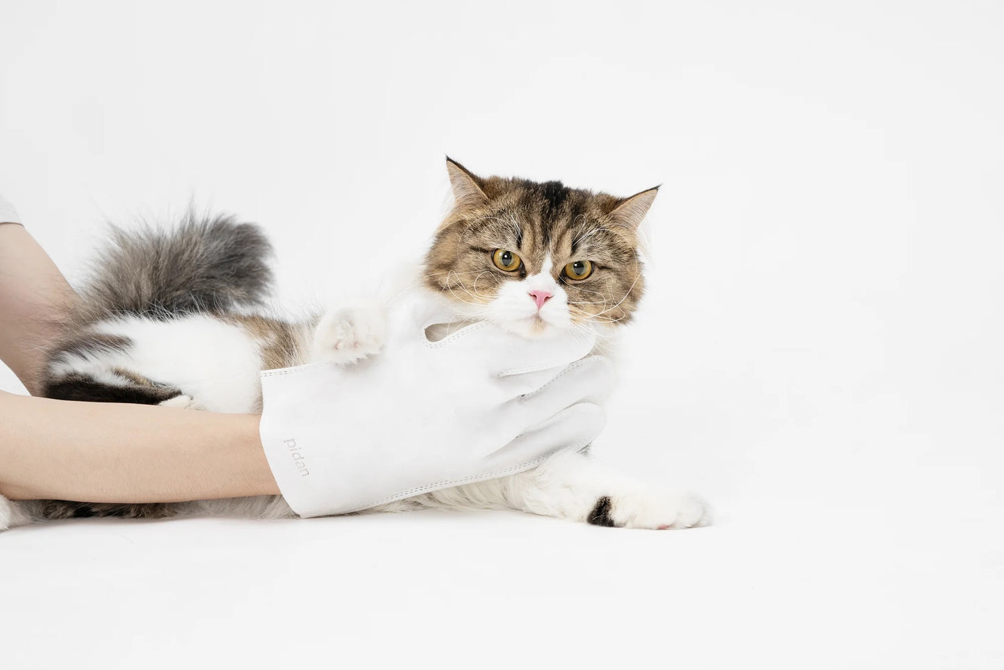 Cleaning Wipes Gloves for Dog and Cat,Pet Bathing Wipes Cleaning & Deodorizing,Dog Wipes for Body Paws Butt Daily Care,Cat Groom