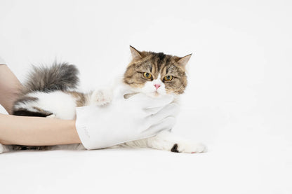 Cleaning Wipes Gloves for Dog and Cat,Pet Bathing Wipes Cleaning & Deodorizing,Dog Wipes for Body Paws Butt Daily Care,Cat Groom