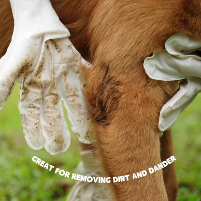Cleaning Wipes Gloves for Dog and Cat,Pet Bathing Wipes Cleaning & Deodorizing,Dog Wipes for Body Paws Butt Daily Care,Cat Groom